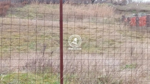 Teren pentru constructii case  de vanzare Iasi, Valea Lupului,