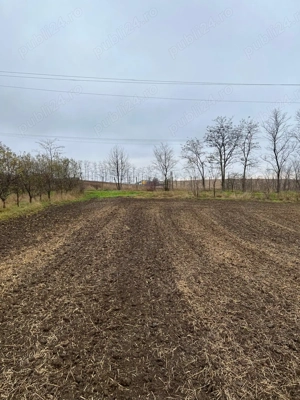 Teren Dorohoi - 23000 mp - Sau - Parcele 1000mp, 900mp, 1500mp, etc. - imagine 4