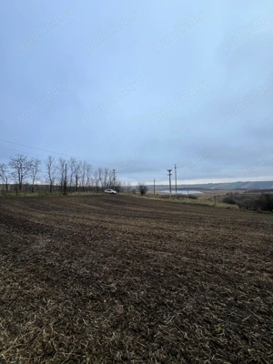 Teren Dorohoi - 23000 mp - Sau - Parcele 1000mp, 900mp, 1500mp, etc. - imagine 2