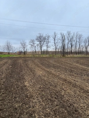 Teren Dorohoi - 23000 mp - Sau - Parcele 1000mp, 900mp, 1500mp, etc. - imagine 6