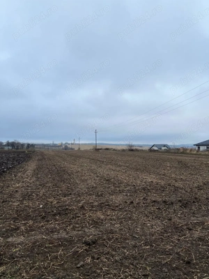 Teren Dorohoi - 23000 mp - Sau - Parcele 1000mp, 900mp, 1500mp, etc. - imagine 9