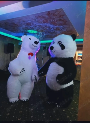 ursuleți dansatori profesioniști din Botoșani la ori ce evenimente, majoritatea, botezuri, cumetri 