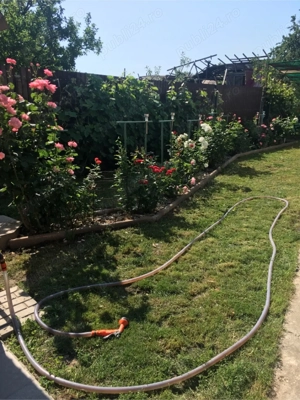 Casa de vanzare Rosiori deVede - imagine 4