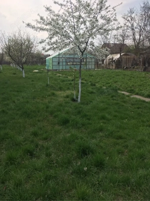 Casa de vanzare Rosiori deVede - imagine 5