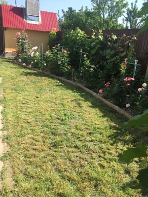 Casa de vanzare Rosiori deVede - imagine 10