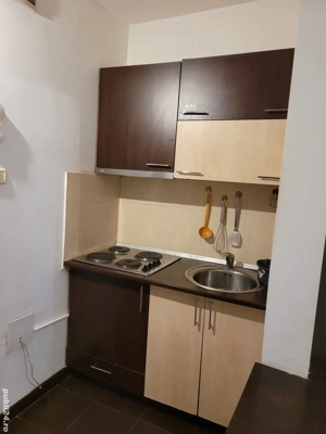 Proprietar - Inchiriez apartament 1 camera, zona Take Ionescu,  - imagine 8
