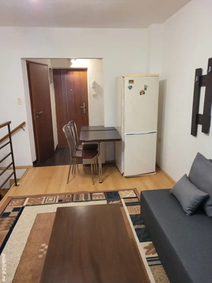 Proprietar - Inchiriez apartament 1 camera, zona Take Ionescu,  - imagine 6