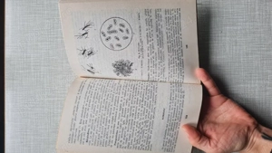 Microbiologie stomatologica C. Margineanu 1981 - imagine 4