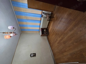 Plantelor- Apartament 2 camere- Etaj 2- Liber - imagine 3