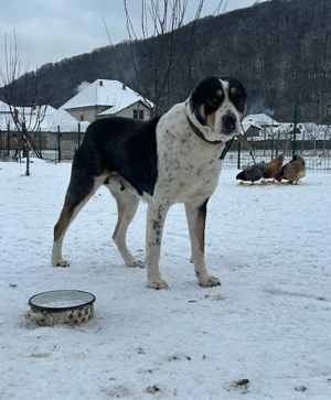 Asia Centrala - imagine 2