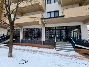 Spatii de vanzare / Dem Radulescu