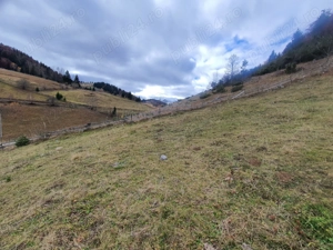 Teren rezidential Bran Fundata zona de case si pensiuni - imagine 3