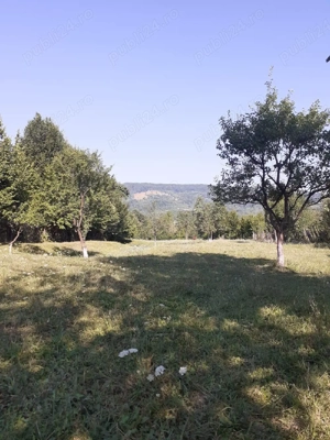 Teren de vanzare - imagine 3