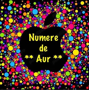 Numar de Aur - 07xy 300 000 - Numere de Top Gold Vip