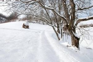 Vând Casă Poiana Stampei  - imagine 2