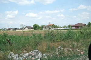 Tartasesti - Str. Giurgiului, 20.000 mp, teren intravilan - imagine 4