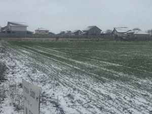 Teren intravilan 5.000 mp - Șag, zona Mănăstire - imagine 5