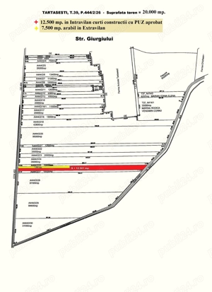 Tartasesti - Str. Giurgiului, 20.000 mp, teren intravilan - imagine 3