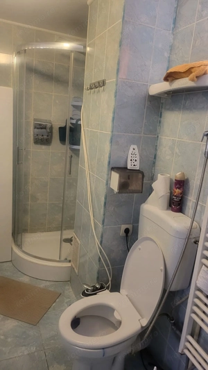 Vila 5 camere zona Floreasca - imagine 8