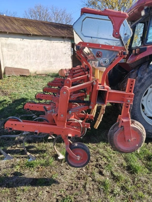 Vand Prasitoare Bufer - imagine 6