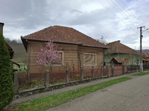 Vand casa in Plescuta