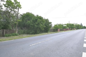 Ciolpani - Luparie - Str. Tiganesti, 1600 mp. teren intravilan intre case - imagine 4