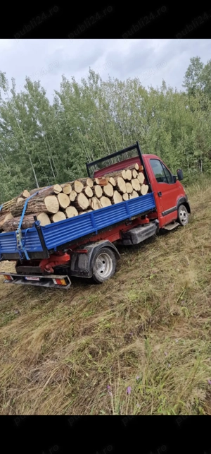 Lemne de foc de vanzare! 