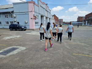 Servicii de Curatenie Neamt, Bacău, Iași, Suceava, Botoșani 