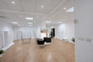S Spatiu comercial de inchiriat zona ultracentrala, Platoul Consiliului Judetean Satu Mare - imagine 5