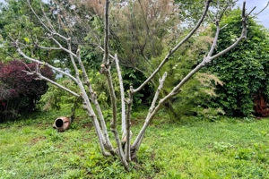 Vila deosebita | Vedere la lac | Teren 2800 mp | Langa Paradisul Verde  - imagine 9