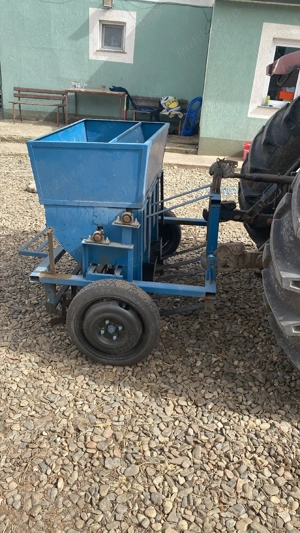 Vind semanatoare hapagic și usturoi  - imagine 2