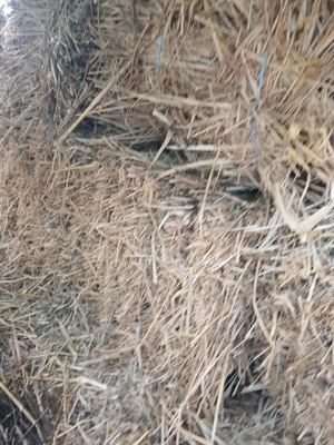 Vând baloți lucernă cu iarba - imagine 2