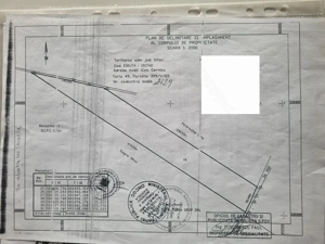 20.000 mp teren extravilan   zonă Bălăceanca   Glina   investiție - imagine 3