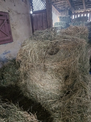 Baloti de fân aproximativ 50 bucati - imagine 4