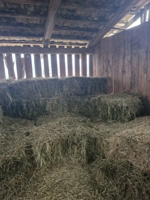 Baloti de fân aproximativ 50 bucati - imagine 5