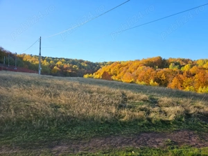 Vand teren pt cabane ,Damis - imagine 3