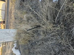 Vand teren intravilan Caslita - imagine 3