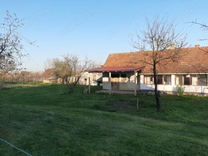 Teren 2000 mp cu front lat, + casa Biharkeresztes