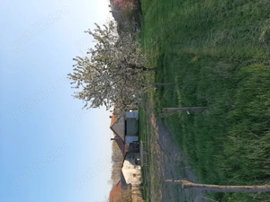 Teren 2000 mp cu front lat, + casa Biharkeresztes - imagine 8