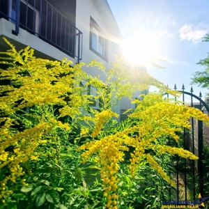 Casa P+E, gata de mutat, curte proprie, Tarlungeni, Izvor, Brasov