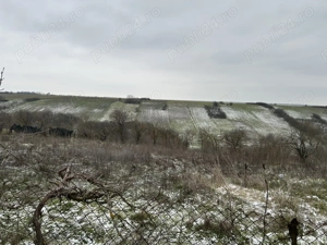 Casa 80 mp si teren 3570 mp, acte la zi - imagine 3