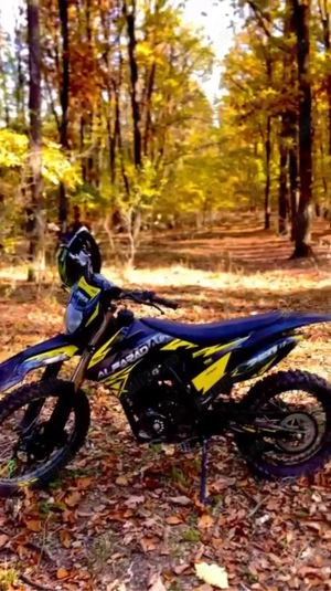 vand cross alfarad 250 cc - imagine 5