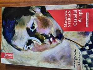 Castelul de apa - Margareta Sterian