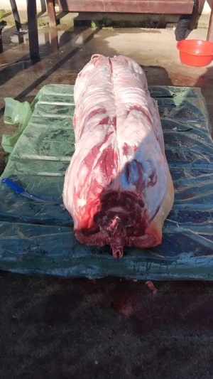 vand sfert sau jumătate porc - imagine 2