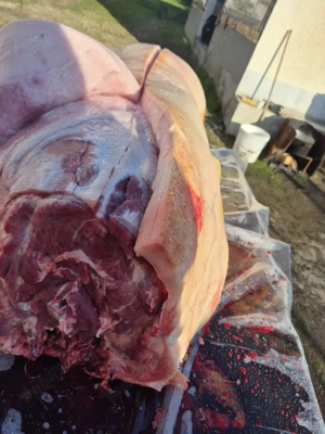 vand sfert sau jumătate porc