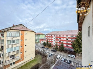 FILM 3D! Apartament cochet,2 camere, decomandat,Nicolae Iorga,Sfantu Gheorghe - imagine 8