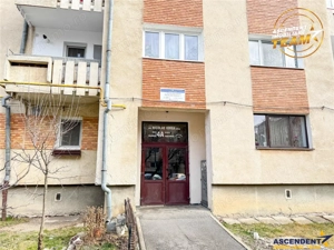 FILM 3D! Apartament cochet,2 camere, decomandat,Nicolae Iorga,Sfantu Gheorghe - imagine 5