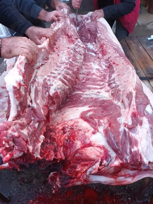 vand sfert sau jumătate porc - imagine 4
