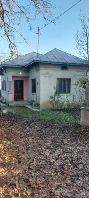 Casă de vânzare în Vulpeni - imagine 3