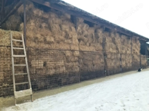 Vind baloti de lucerna ne ploati